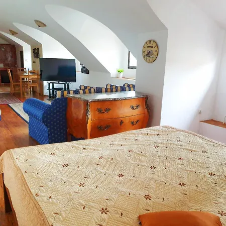 Studio Karluv Most Apartment Prague