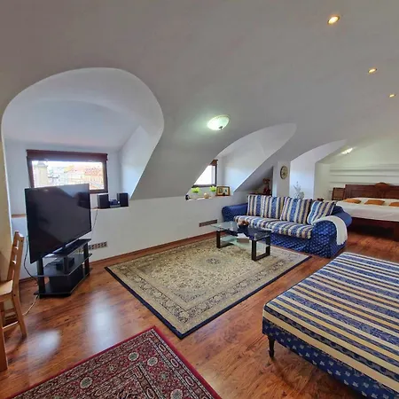 Apartment Studio Karluv Most *